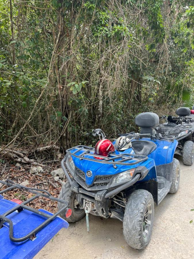 Maya Eco Village アクマル エクステリア 写真